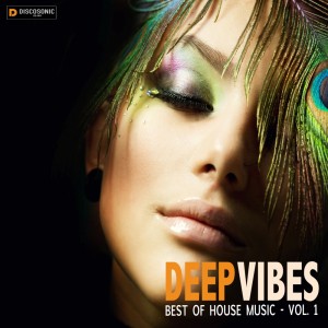 Deep Vipes: Best of House Music Vol.1 Mit Tom La Mer! 13