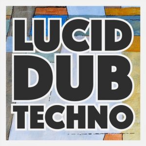 Der Sebo auf der Compilation Lucid Dub Techno! 19