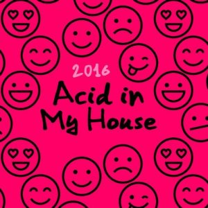 Acid in My House 2016 mit Oldschool Rocker! 35