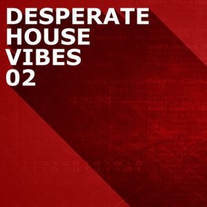 Bendito auf der Desperate House Vibes Vol.2! 23
