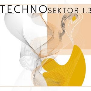 Somnia auf der Techno Sektor 1.3! 3