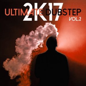 Liquid Hands auf der Ultimate Dubstep 2k17 Vol.2! 3