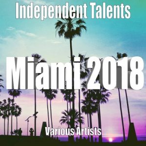 Independent Talents Miami 2018 mit Mathew Brabham! 19