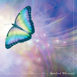 Shizo van de Sunflower auf der Compilation SPIRITUAL MOMENTS! 13