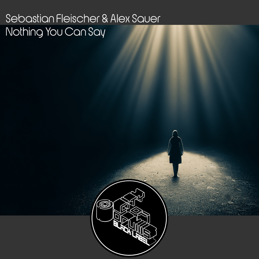 Sebastian Fleischer & Alex Sauer - Nothing You Can Say 7