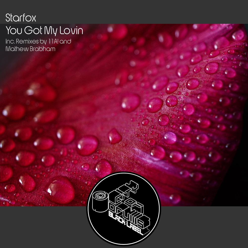 Starfox - You Got My Lovin 3